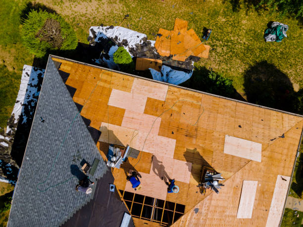 Best Local Roofing Companies  in Decherd, TN